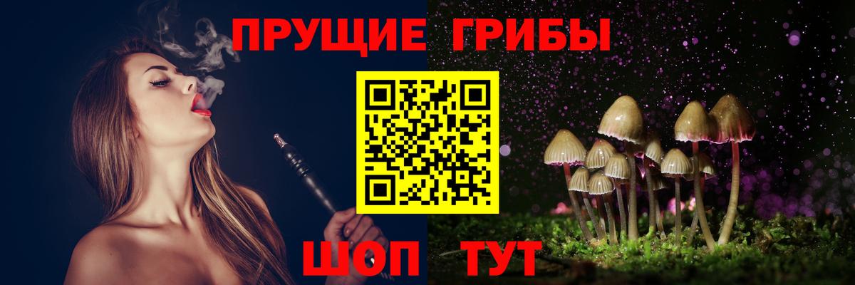 Галлюциногенные грибы Psilocybine cubensis  Вход с VPN  Галлюциногенные грибы MAGIC MUSHROOMS  Протвино 
